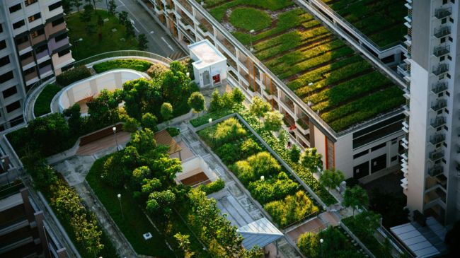 Health-Infused Urban Living. Showcase urban gardens seamlessly integrated into city planning