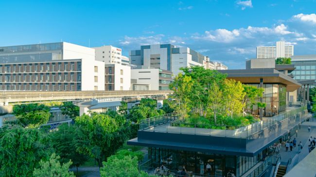 Sustainable Green Infrastructure: A rooftop garden on an urban building provides a lush green oasis in the city.