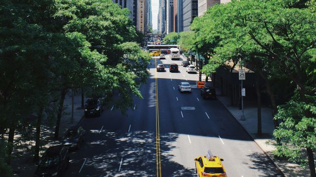 City street flanked by lush trees under clear skies, embodying effective road design in an urban setting