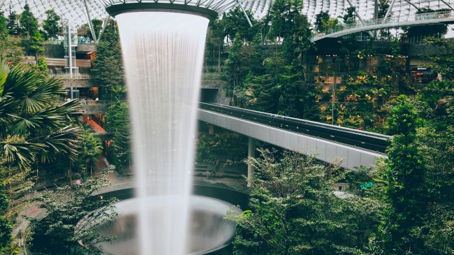 Green Spaces Indoor waterfall at Changi Airport in Singapore surrounded by lush greenery and modern architecture.